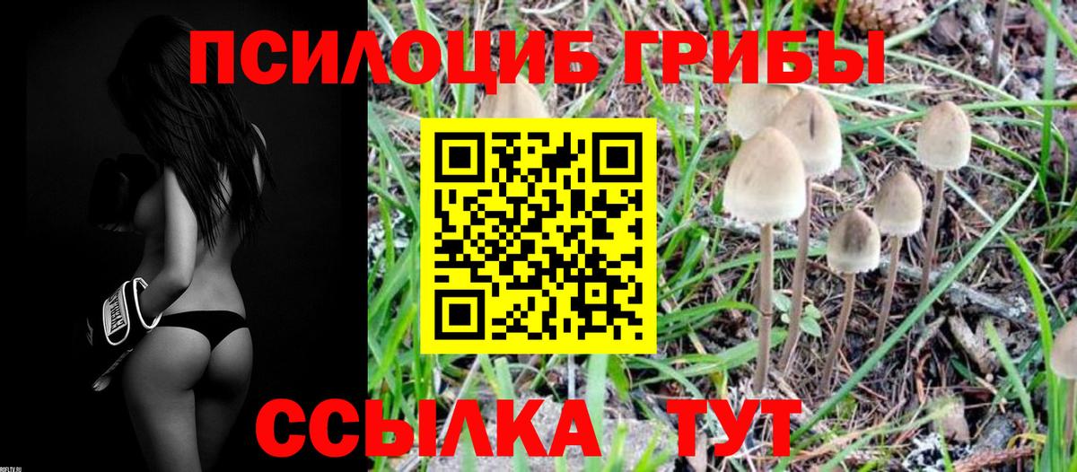 Галлюциногенные грибы ЛСД Выкса